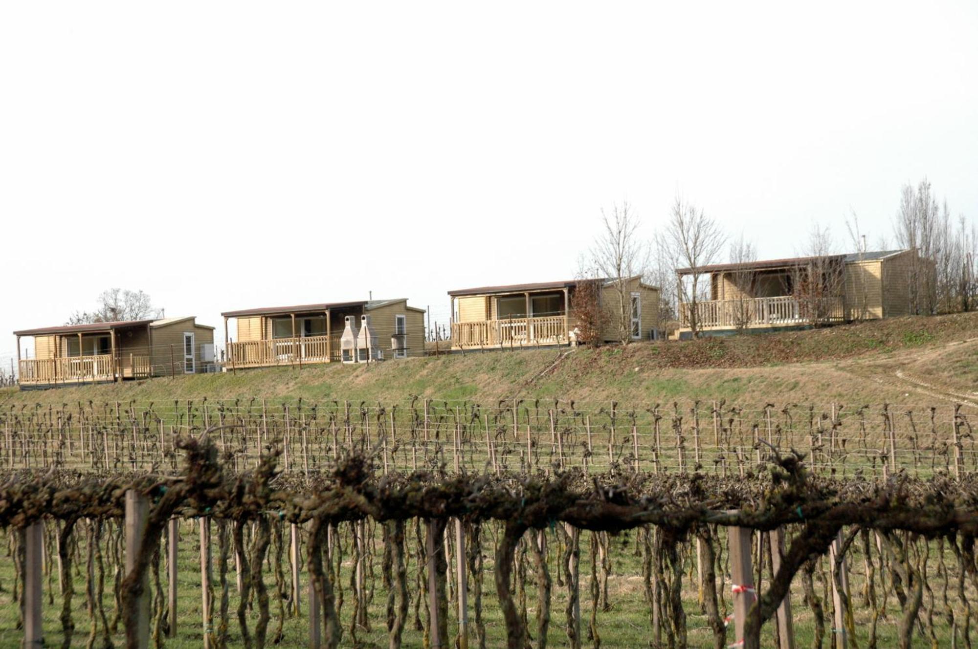Alojamento de Turismo Rural Seiterre Tenuta San Leone