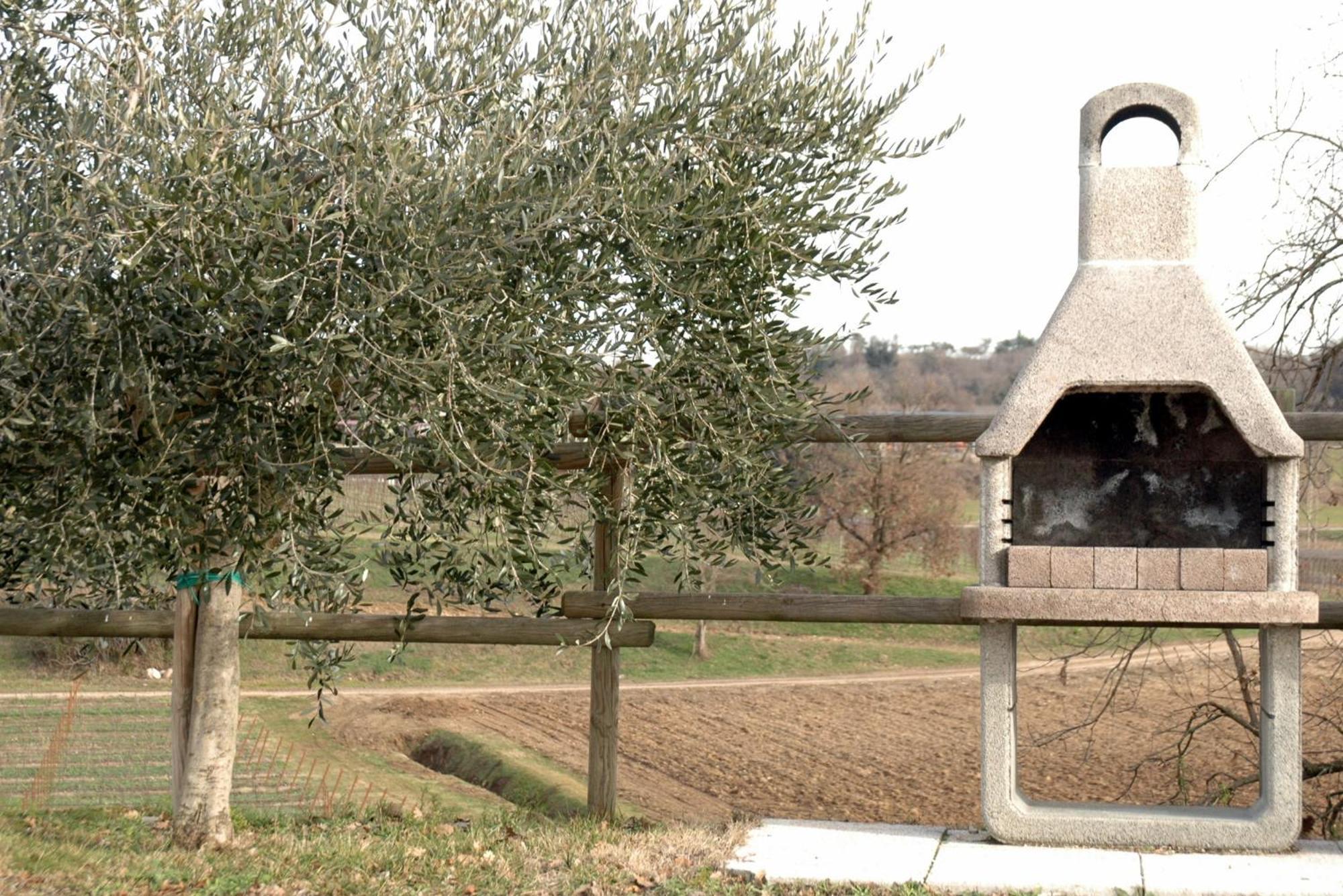 Alojamento de Turismo Rural Seiterre Tenuta San Leone *