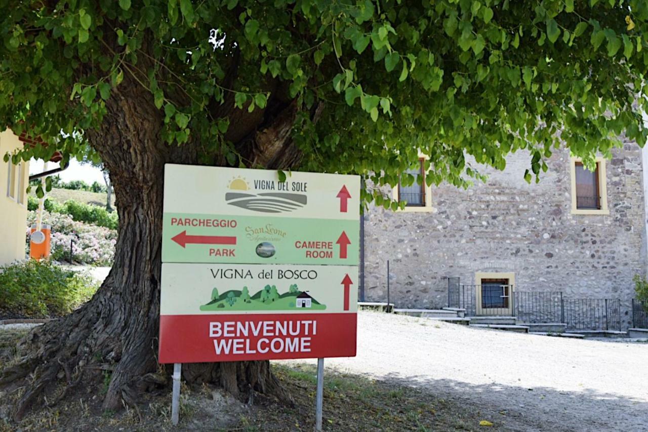 Seiterre Tenuta San Leone *