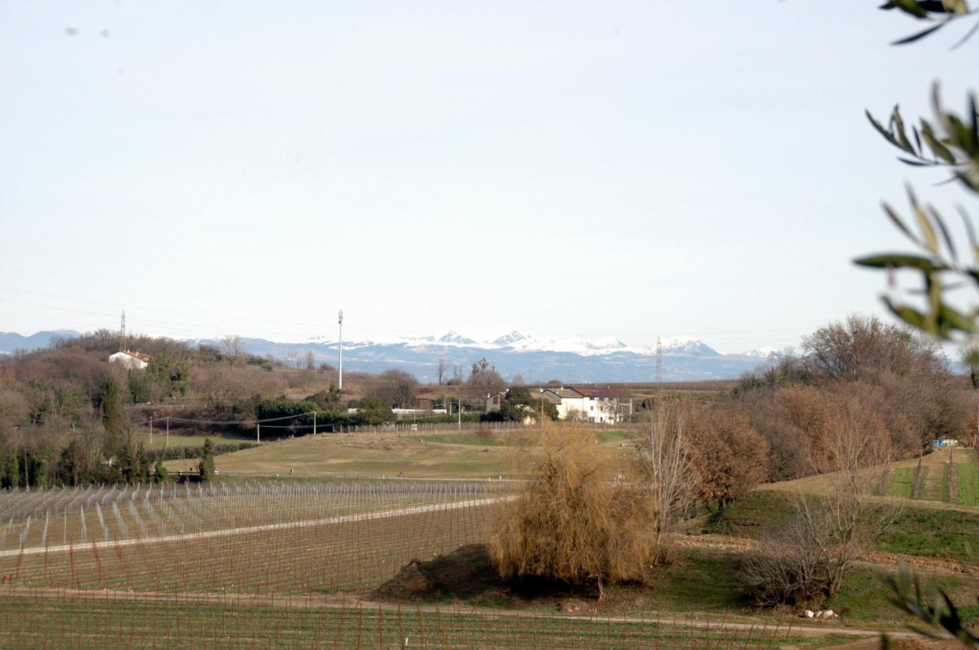 Alojamento de Turismo Rural Seiterre Tenuta San Leone Valeggio sul Mincio