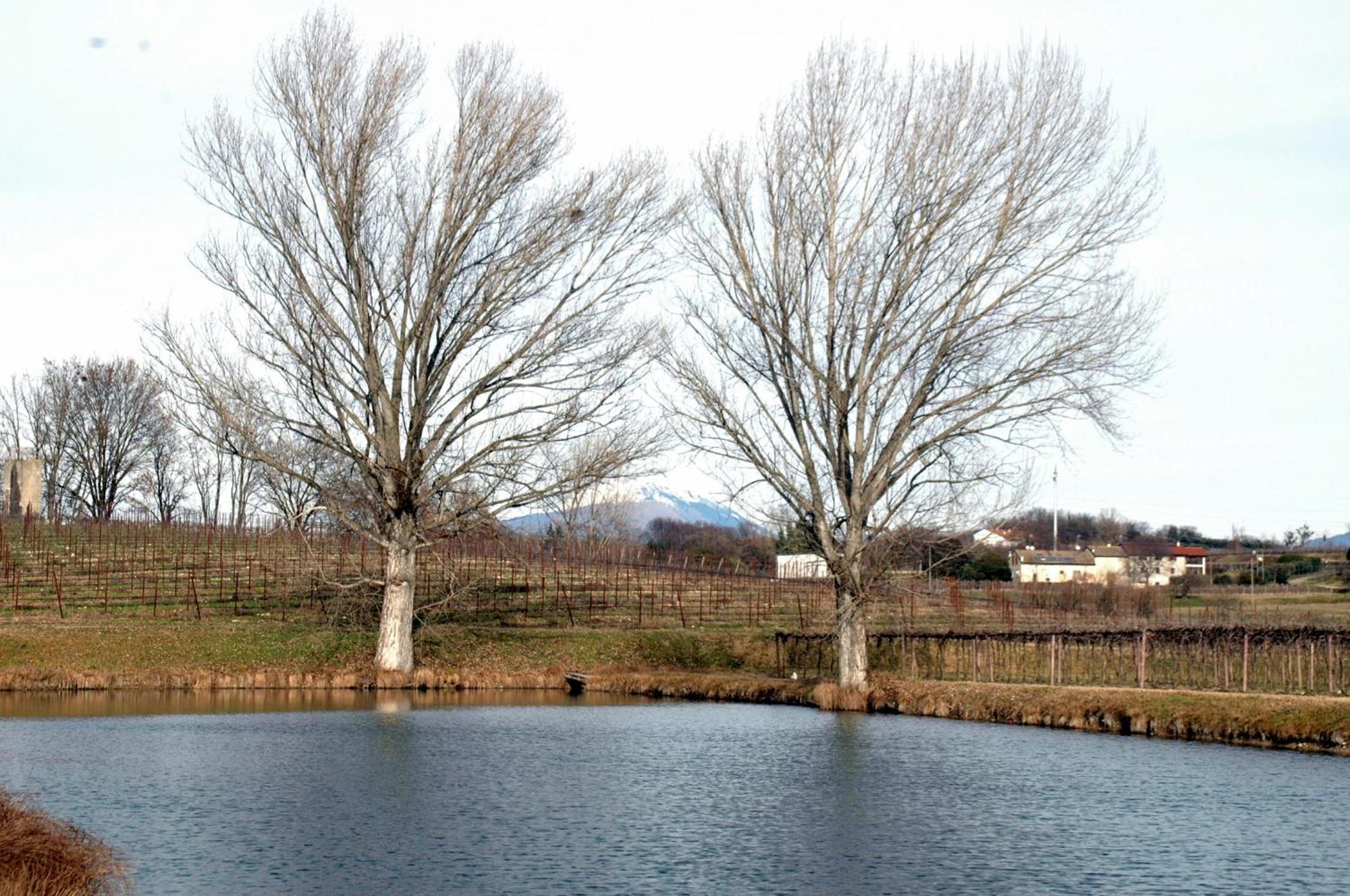 Seiterre Tenuta San Leone *