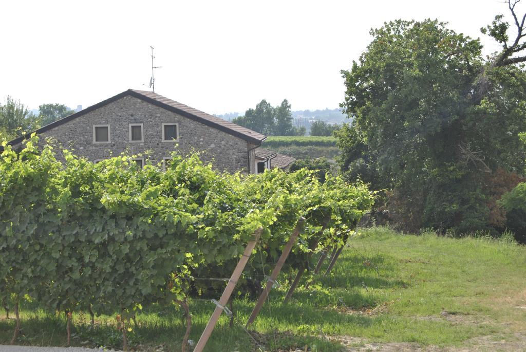 Alojamento de Turismo Rural Seiterre Tenuta San Leone Valeggio sul Mincio