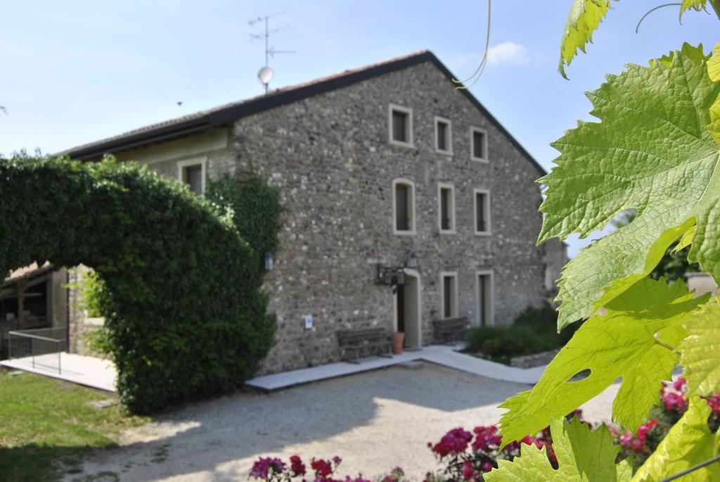 Seiterre Tenuta San Leone