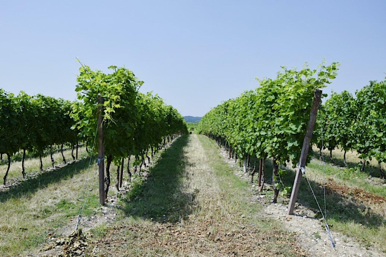 Alojamento de Turismo Rural Seiterre Tenuta San Leone *