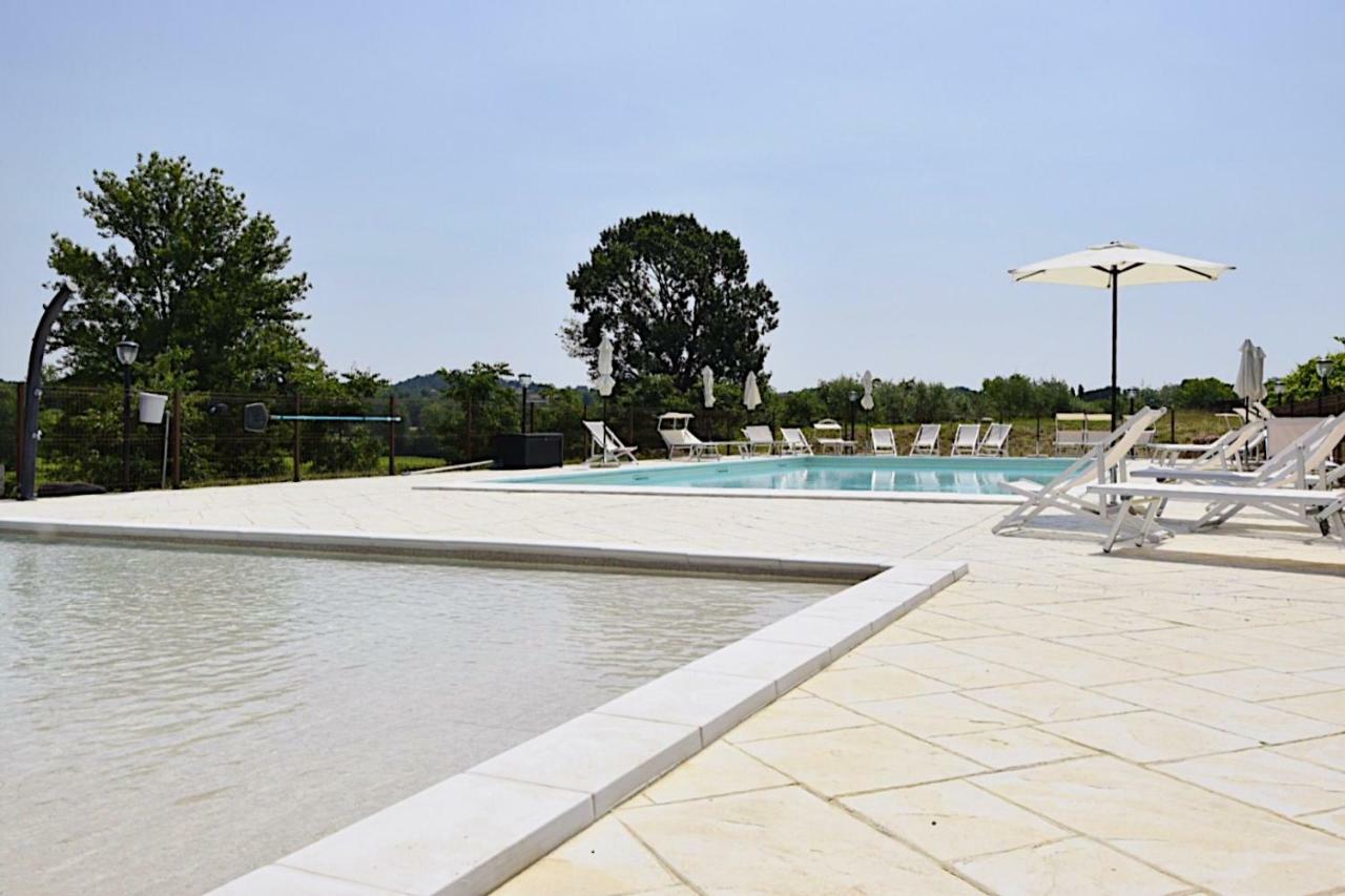 Seiterre Tenuta San Leone *
